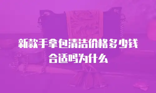新款手拿包清洁价格多少钱合适吗为什么