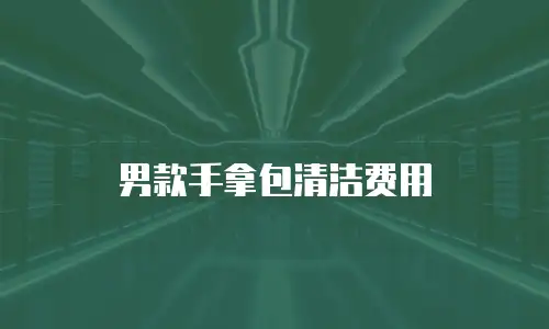 男款手拿包清洁费用