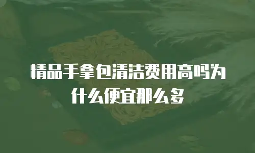 精品手拿包清洁费用高吗为什么便宜那么多