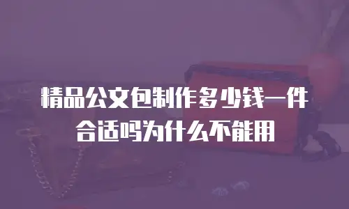 精品公文包制作多少钱一件合适吗为什么不能用