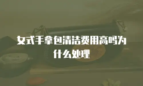 女式手拿包清洁费用高吗为什么处理