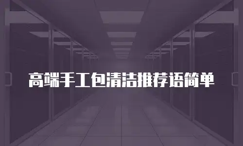 高端手工包清洁推荐语简单