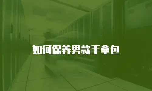 如何保养男款手拿包