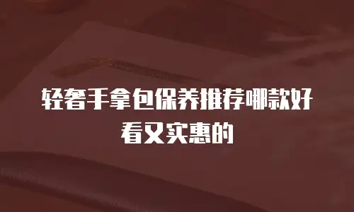 轻奢手拿包保养推荐哪款好看又实惠的