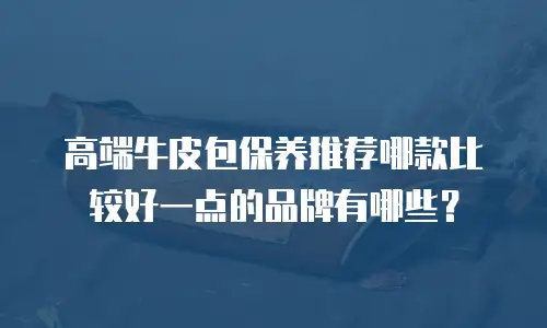 高端牛皮包保养推荐哪款比较好一点的品牌有哪些？