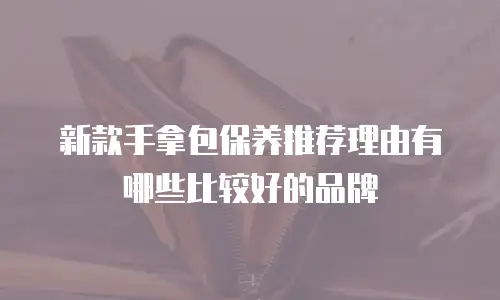 新款手拿包保养推荐理由有哪些比较好的品牌