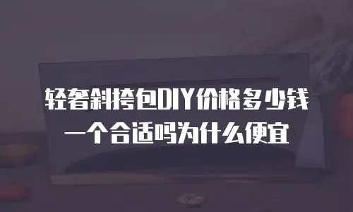 轻奢斜挎包DIY价格多少钱一个合适吗为什么便宜