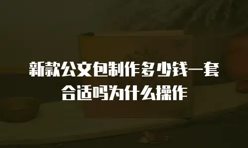 新款公文包制作多少钱一套合适吗为什么操作