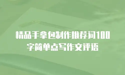 精品手拿包制作推荐词100字简单点写作文评语