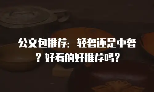 公文包推荐：轻奢还是中奢？好看的好推荐吗？