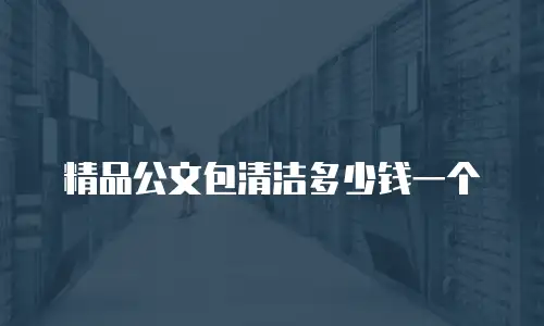 精品公文包清洁多少钱一个