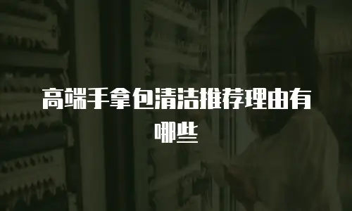 高端手拿包清洁推荐理由有哪些