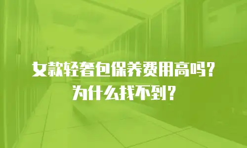 女款轻奢包保养费用高吗？为什么找不到？