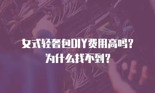 女式轻奢包DIY费用高吗？为什么找不到？