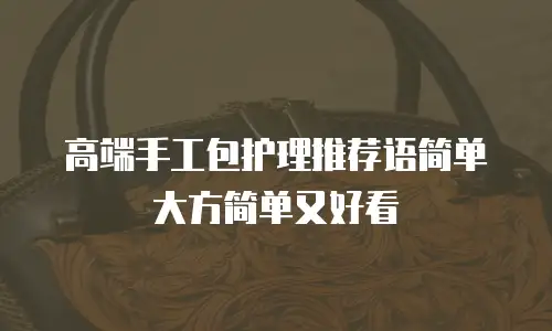 高端手工包护理推荐语简单大方简单又好看