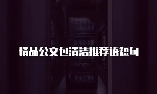 精品公文包清洁推荐语短句