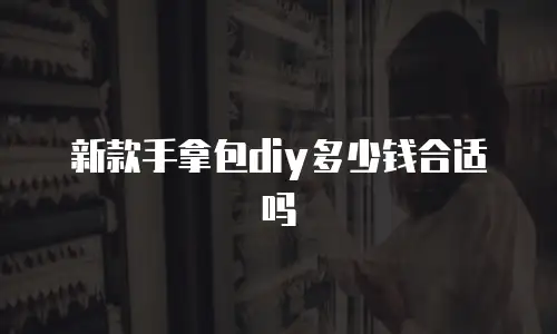 新款手拿包diy多少钱合适吗