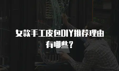 女款手工皮包DIY推荐理由有哪些？