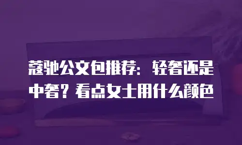 蔻驰公文包推荐：轻奢还是中奢？看点女士用什么颜色