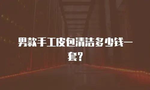 男款手工皮包清洁多少钱一套？