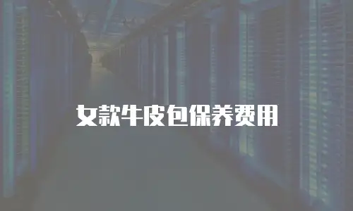 女款牛皮包保养费用