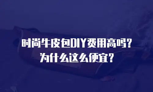 时尚牛皮包DIY费用高吗？为什么这么便宜？