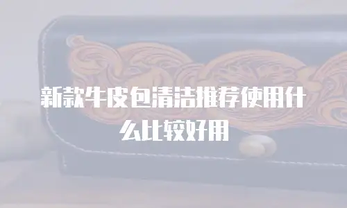 新款牛皮包清洁推荐使用什么比较好用