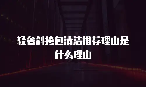 轻奢斜挎包清洁推荐理由是什么理由
