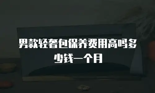 男款轻奢包保养费用高吗多少钱一个月