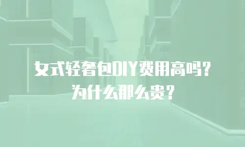 女式轻奢包DIY费用高吗？为什么那么贵？