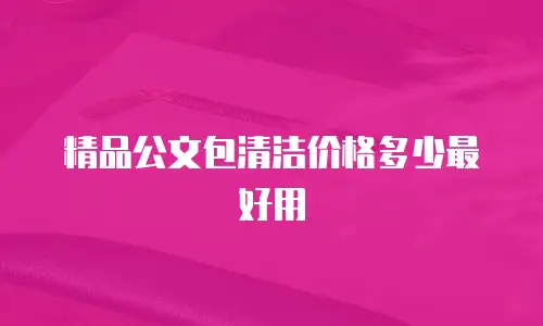 精品公文包清洁价格多少最好用