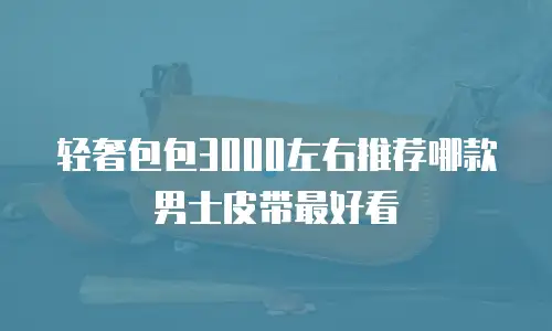 轻奢包包3000左右推荐哪款男士皮带最好看
