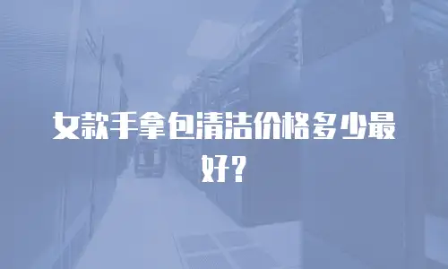 女款手拿包清洁价格多少最好？
