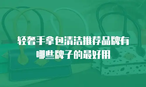 轻奢手拿包清洁推荐品牌有哪些牌子的最好用