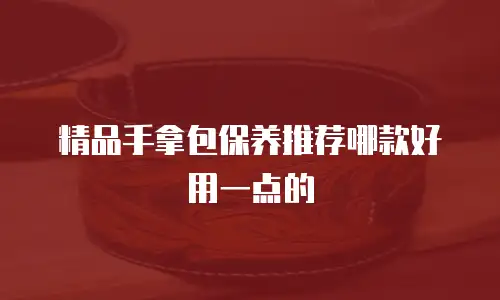 精品手拿包保养推荐哪款好用一点的