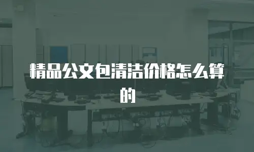 精品公文包清洁价格怎么算的