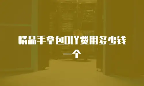 精品手拿包DIY费用多少钱一个
