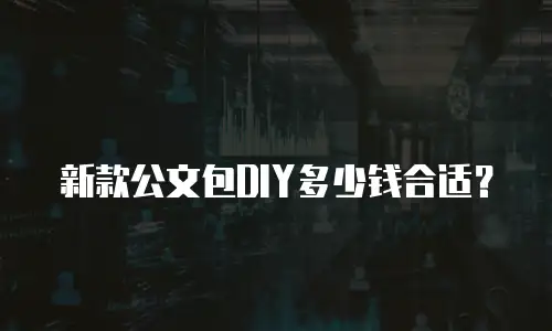 新款公文包DIY多少钱合适？