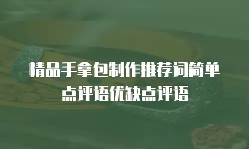 精品手拿包制作推荐词简单点评语优缺点评语