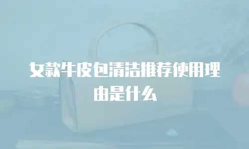 女款牛皮包清洁推荐使用理由是什么