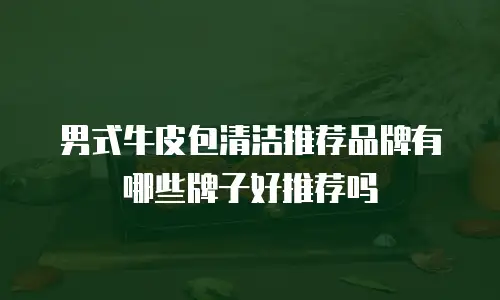男式牛皮包清洁推荐品牌有哪些牌子好推荐吗