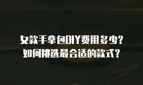 女款手拿包DIY费用多少？如何挑选最合适的款式？