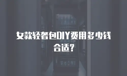 女款轻奢包DIY费用多少钱合适？