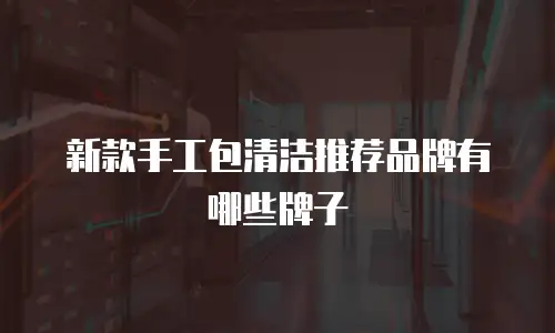 新款手工包清洁推荐品牌有哪些牌子