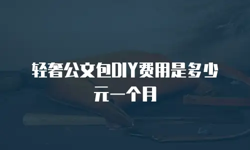 轻奢公文包DIY费用是多少元一个月