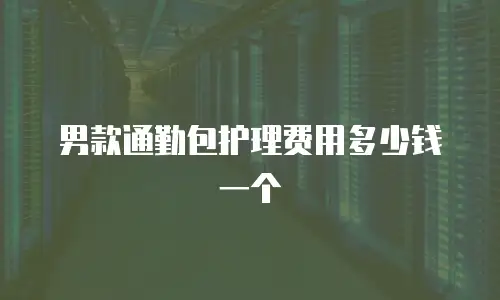 男款通勤包护理费用多少钱一个