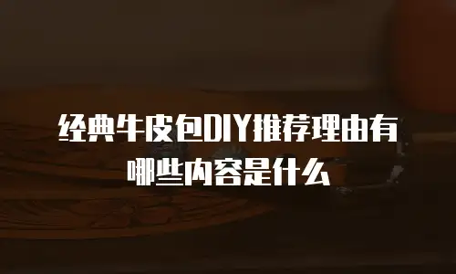 经典牛皮包DIY推荐理由有哪些内容是什么