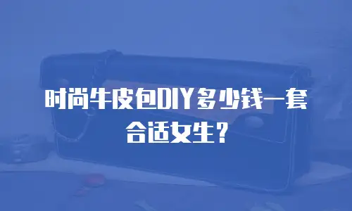 时尚牛皮包DIY多少钱一套合适女生？