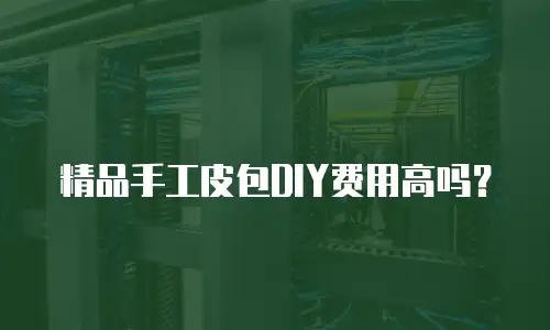 精品手工皮包DIY费用高吗？