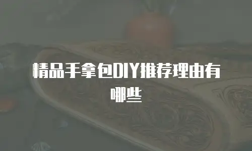 精品手拿包DIY推荐理由有哪些